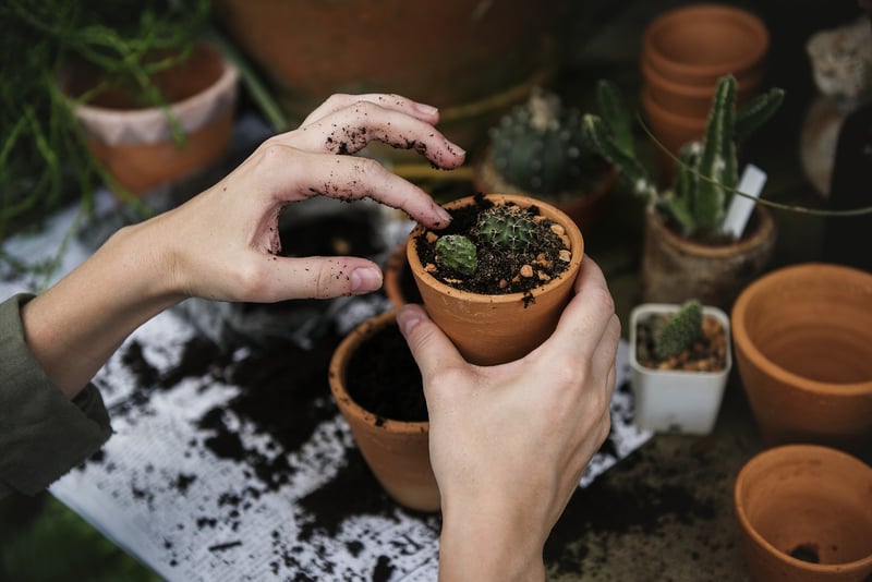 Healthy soil with earthworm